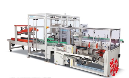 ZNXP-600全自動裝箱機組 ZNXP-600全自動裝箱機組